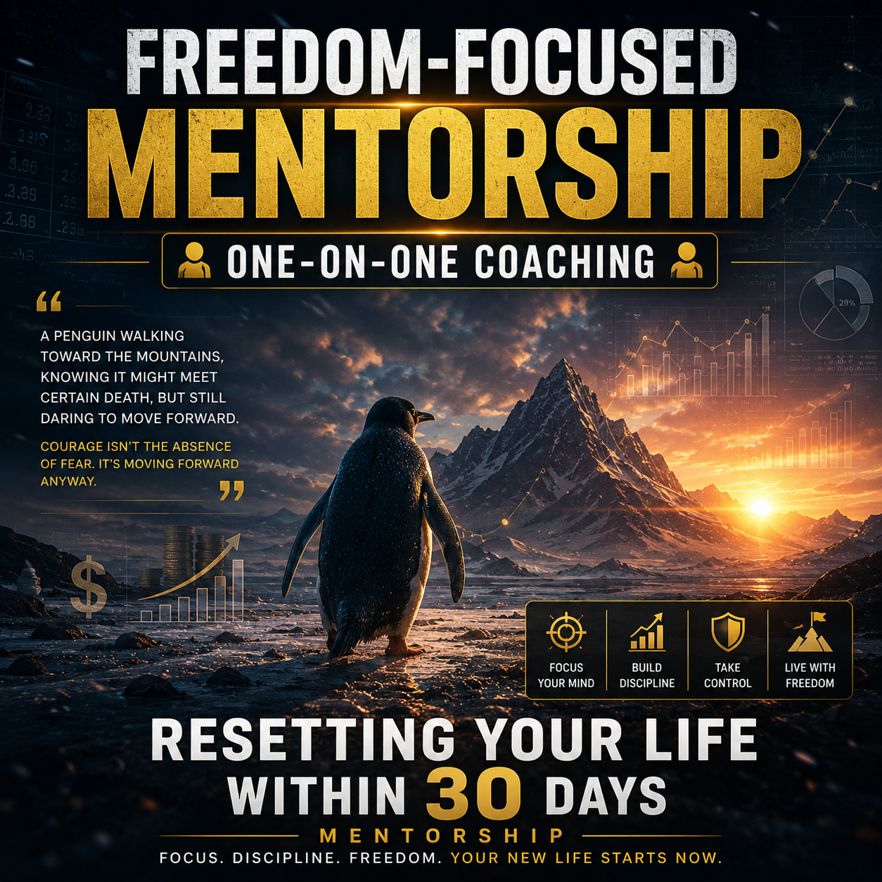 Freedom & Focus Mentorship.